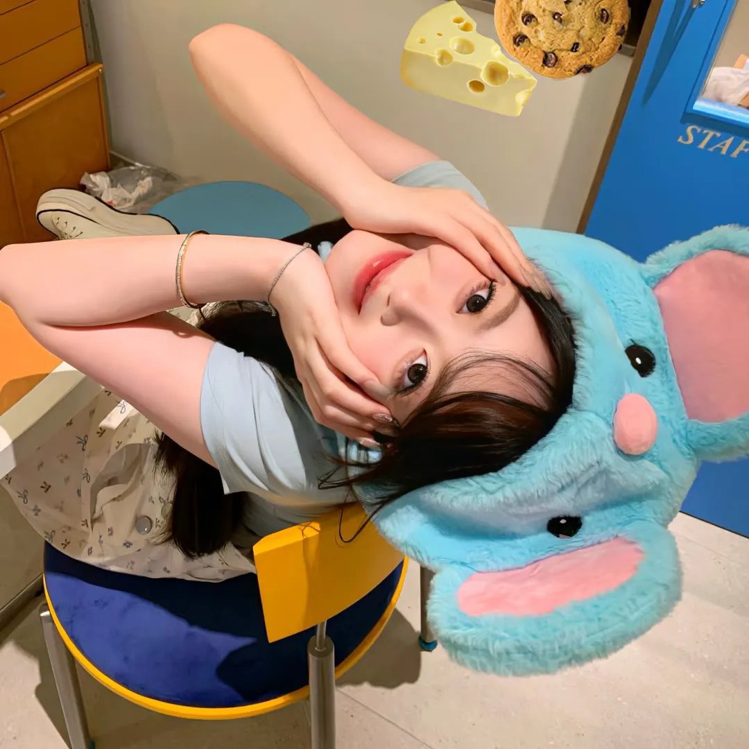 公主请回家
